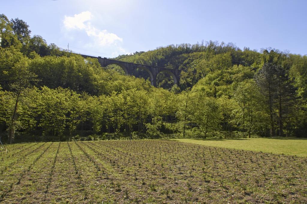Podere Campofossato Pistoia Exterior foto